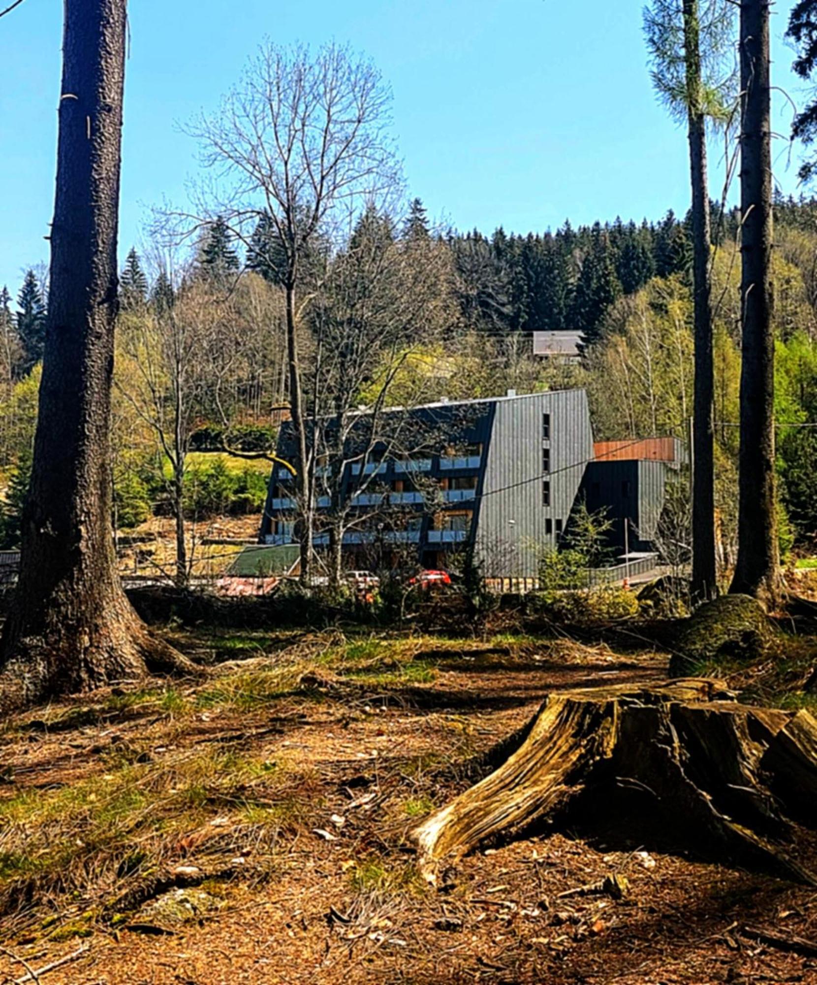 Apartman Na Kraji Lesa Janov nad Nisou Exterior photo
